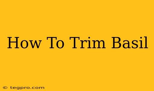 How To Trim Basil