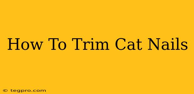 How To Trim Cat Nails