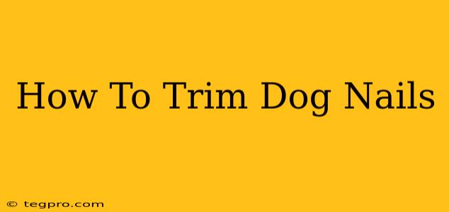 How To Trim Dog Nails