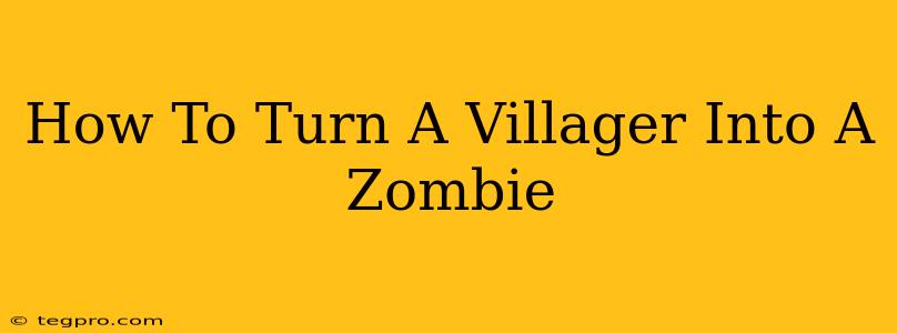 How To Turn A Villager Into A Zombie