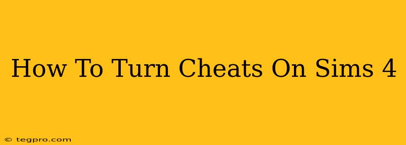 How To Turn Cheats On Sims 4