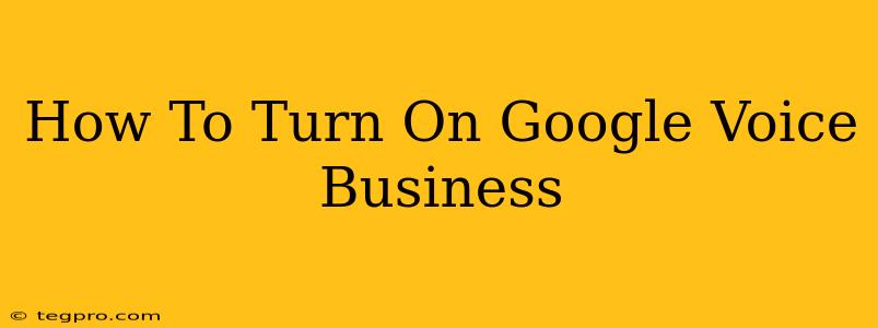 How To Turn On Google Voice Business