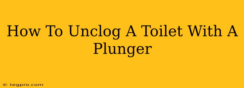 How To Unclog A Toilet With A Plunger