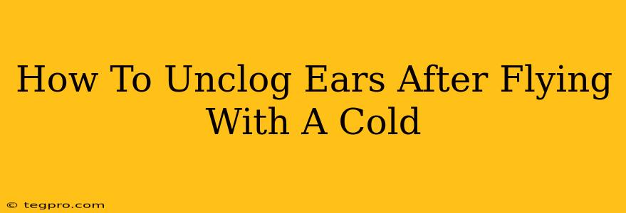 How To Unclog Ears After Flying With A Cold