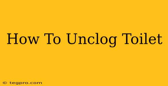 How To Unclog Toilet