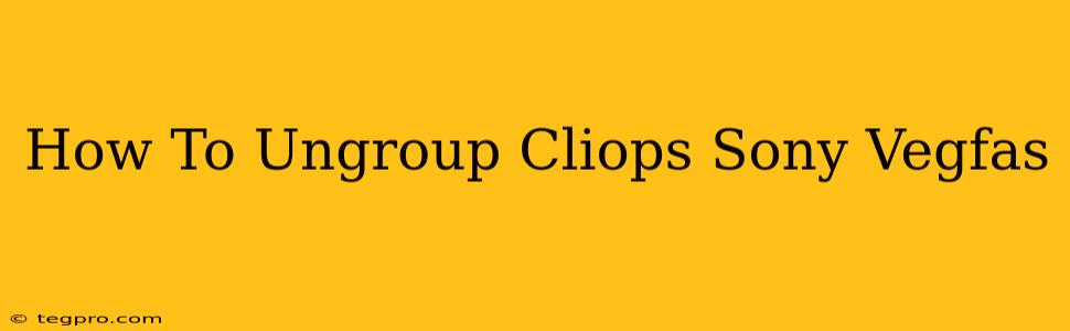 How To Ungroup Cliops Sony Vegfas