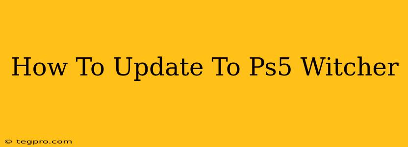 How To Update To Ps5 Witcher