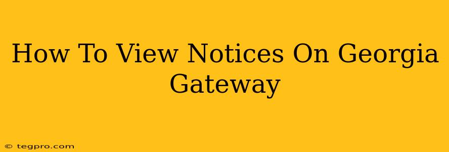 How To View Notices On Georgia Gateway