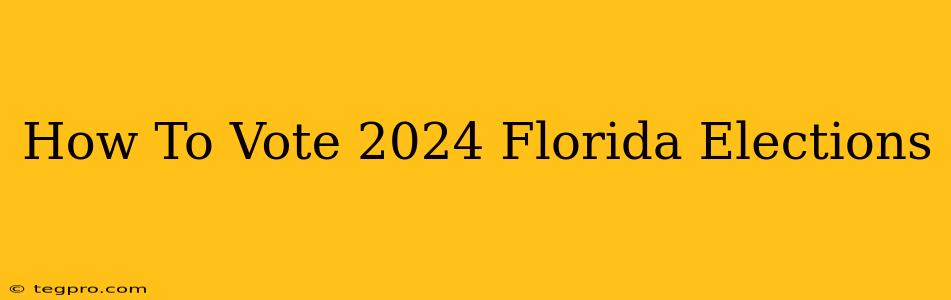 How To Vote 2024 Florida Elections