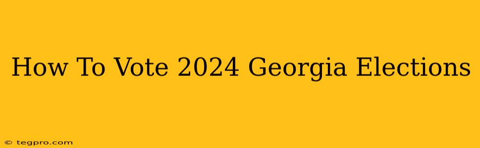 How To Vote 2024 Georgia Elections