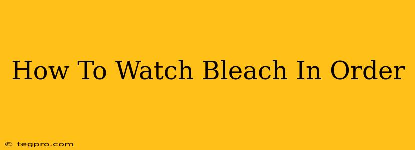 How To Watch Bleach In Order