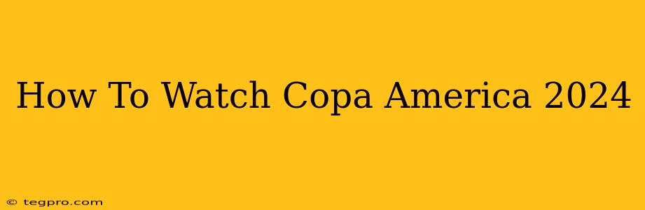 How To Watch Copa America 2024