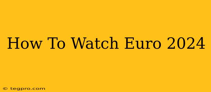 How To Watch Euro 2024