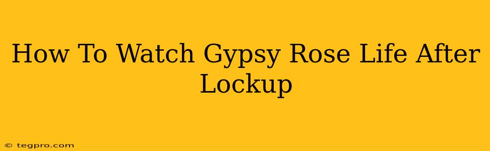 How To Watch Gypsy Rose Life After Lockup