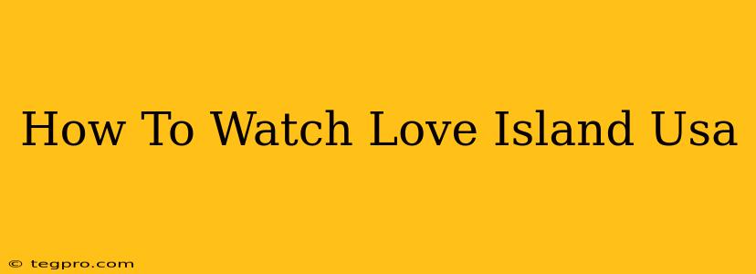 How To Watch Love Island Usa