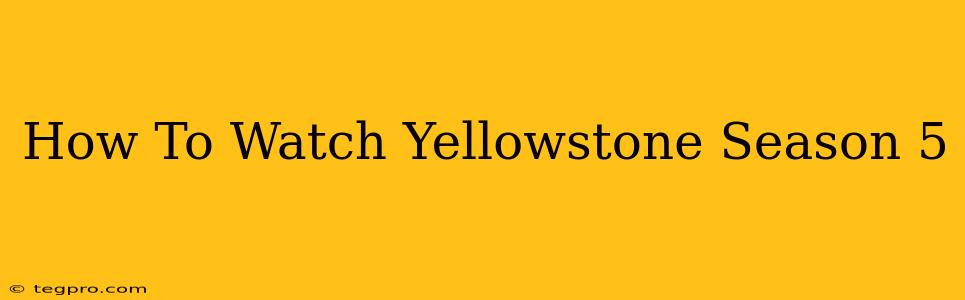 How To Watch Yellowstone Season 5