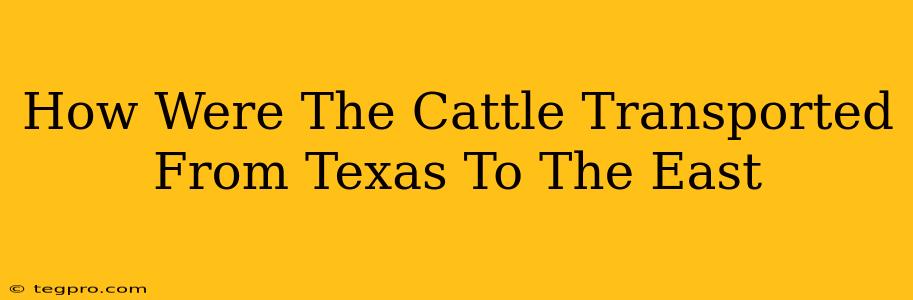 How Were The Cattle Transported From Texas To The East