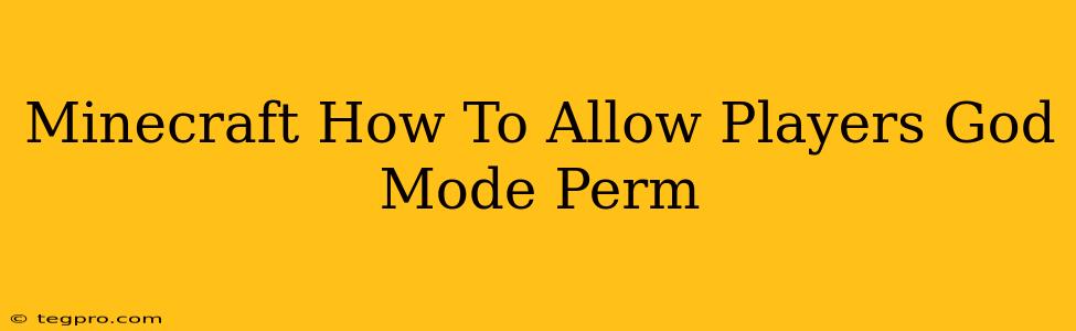 Minecraft How To Allow Players God Mode Perm