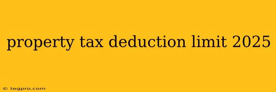 property tax deduction limit 2025