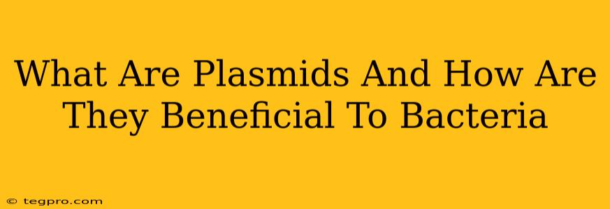 What Are Plasmids And How Are They Beneficial To Bacteria