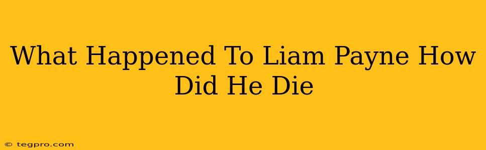 What Happened To Liam Payne How Did He Die