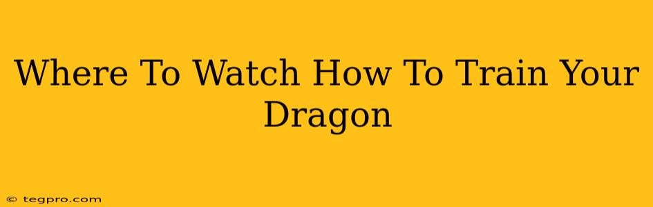 Where To Watch How To Train Your Dragon