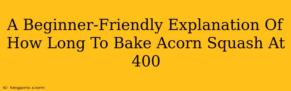 A Beginner-Friendly Explanation Of How Long To Bake Acorn Squash At 400