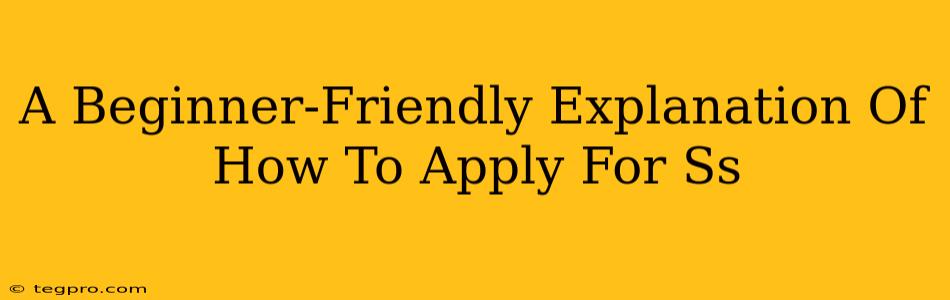 A Beginner-Friendly Explanation Of How To Apply For Ss