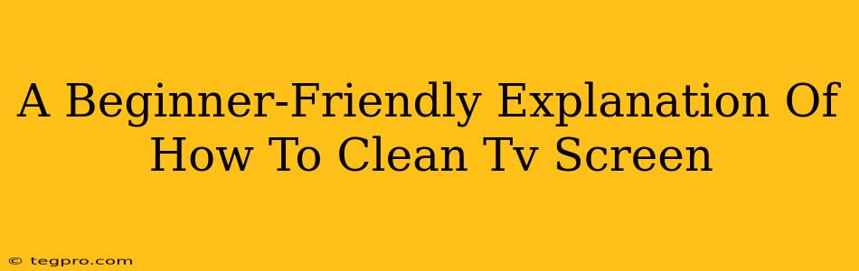 A Beginner-Friendly Explanation Of How To Clean Tv Screen