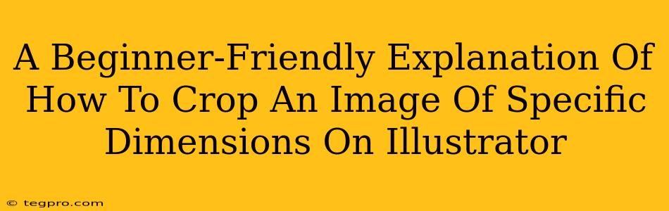 A Beginner-Friendly Explanation Of How To Crop An Image Of Specific Dimensions On Illustrator