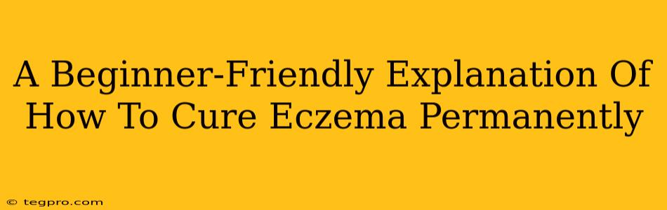 A Beginner-Friendly Explanation Of How To Cure Eczema Permanently