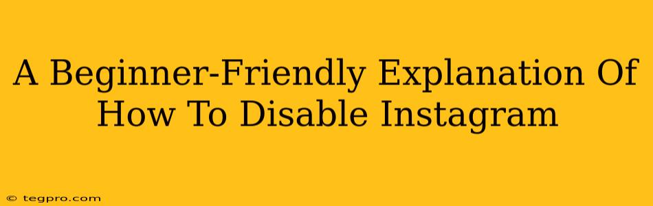 A Beginner-Friendly Explanation Of How To Disable Instagram