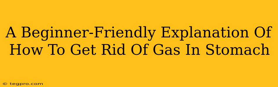 A Beginner-Friendly Explanation Of How To Get Rid Of Gas In Stomach