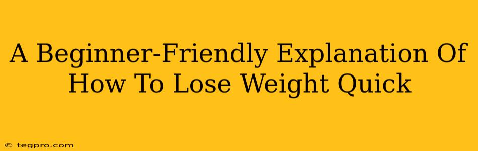 A Beginner-Friendly Explanation Of How To Lose Weight Quick