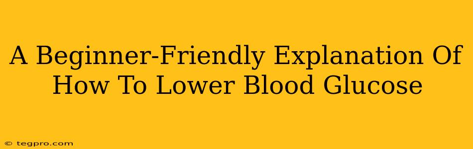 A Beginner-Friendly Explanation Of How To Lower Blood Glucose