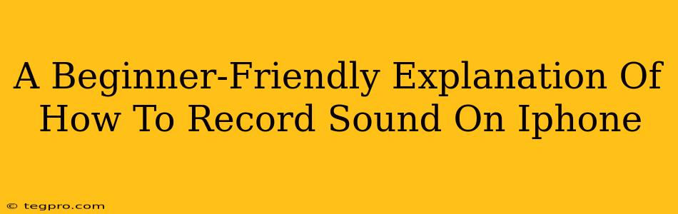 A Beginner-Friendly Explanation Of How To Record Sound On Iphone