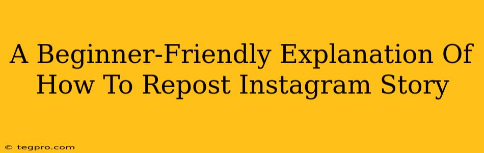 A Beginner-Friendly Explanation Of How To Repost Instagram Story