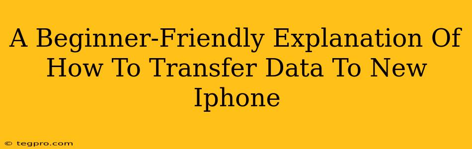 A Beginner-Friendly Explanation Of How To Transfer Data To New Iphone