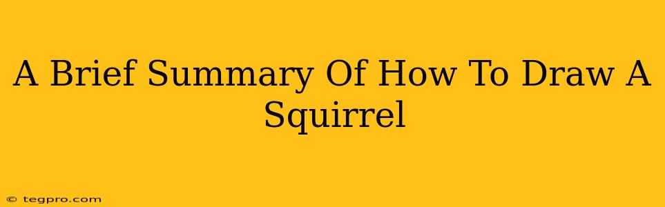 A Brief Summary Of How To Draw A Squirrel