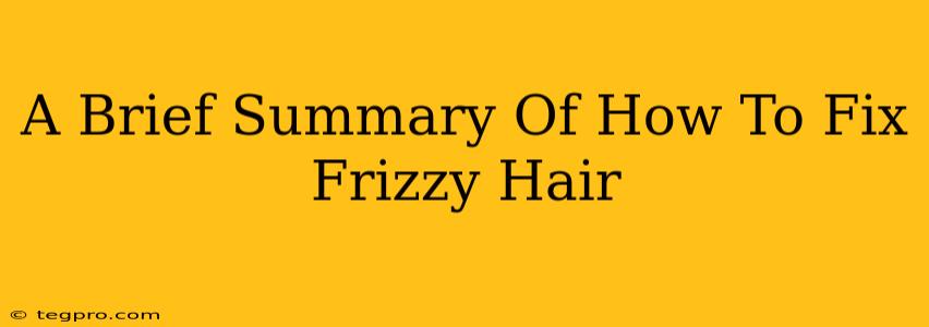 A Brief Summary Of How To Fix Frizzy Hair