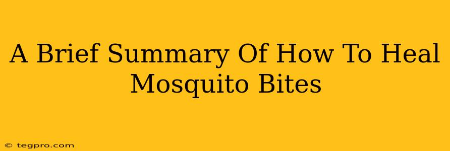 A Brief Summary Of How To Heal Mosquito Bites