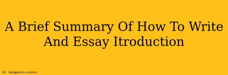 A Brief Summary Of How To Write And Essay Itroduction