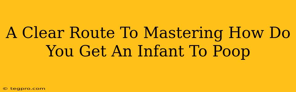 A Clear Route To Mastering How Do You Get An Infant To Poop