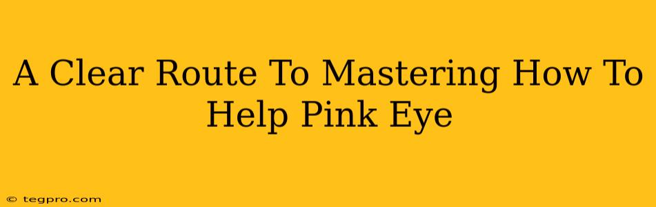 A Clear Route To Mastering How To Help Pink Eye