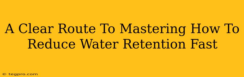 A Clear Route To Mastering How To Reduce Water Retention Fast