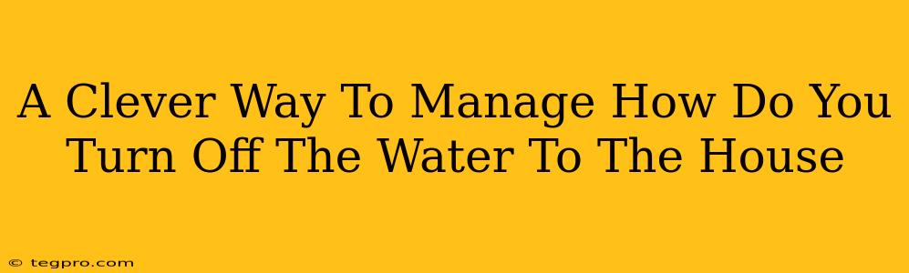A Clever Way To Manage How Do You Turn Off The Water To The House