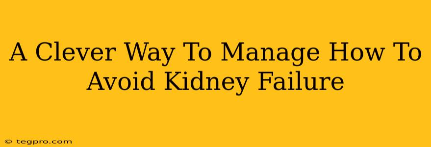 A Clever Way To Manage How To Avoid Kidney Failure