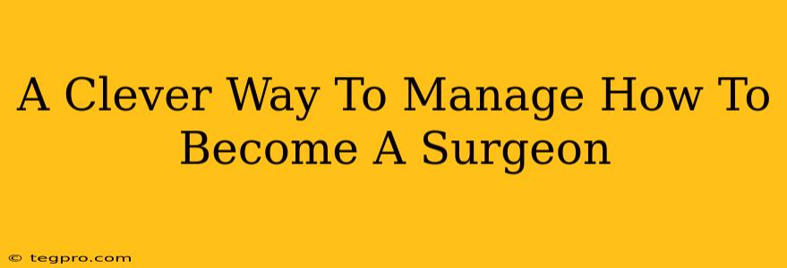 A Clever Way To Manage How To Become A Surgeon