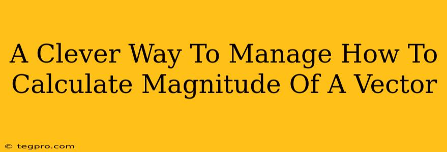 A Clever Way To Manage How To Calculate Magnitude Of A Vector