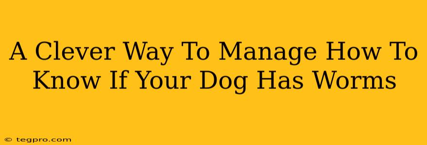 A Clever Way To Manage How To Know If Your Dog Has Worms